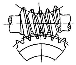 Double enveloping worm gear